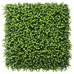 image of Hampton artificial green wall panels by Calico Greens